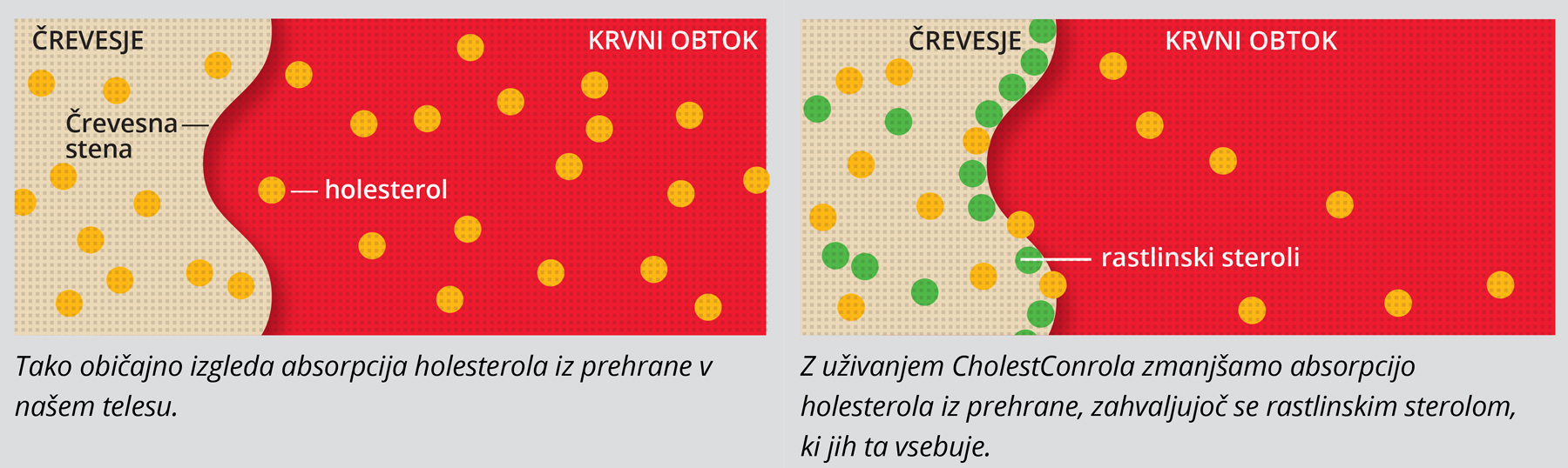 Vloga rastlinskih sterolov pri ohranjanju normalnih ravni holesterola